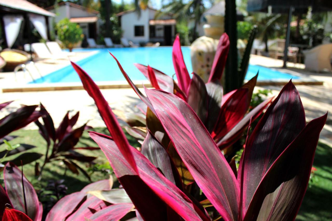 Hotel E Pousada La Dolce Vita Canoa Quebrada Exterior foto